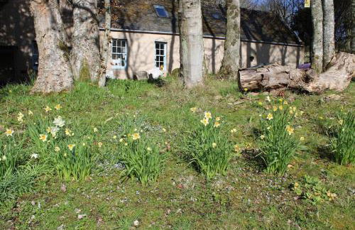 Spacious Cottage in the Grounds of a Scottish Castle - Photo 15
