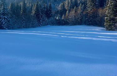FeWo Alpenherz im Allgäu, mit Balkon und Bergblick - Foto 6