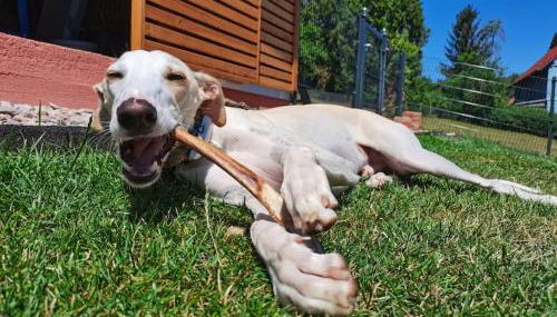 Hof Eckens - Ferienhaushaus Marie in Wildeck Bosserode - Foto 3