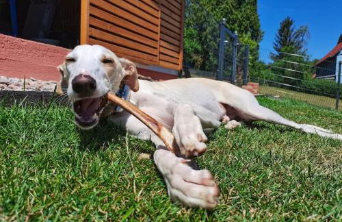 Hof Eckens - Ferienhaushaus Marie in Wildeck Bosserode - Foto 3
