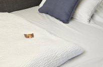 CASA8070 - Exklusive große Maisonette-Wohnung 91 qm für Familien, Gruppen, Geschäftsreisende, inklusive Parkplatz, WLAN, Kaffee und Tee, voll ausgestattet für 1 bis 9 Personen, zentrumsnah an der Autobahn A9 Ingolstadt-Süd - Photo 37