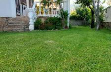 La lechuza blanca - Foto 8