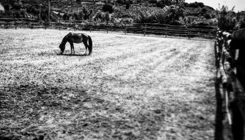 Agriturismo Quattro Pini - Foto 3