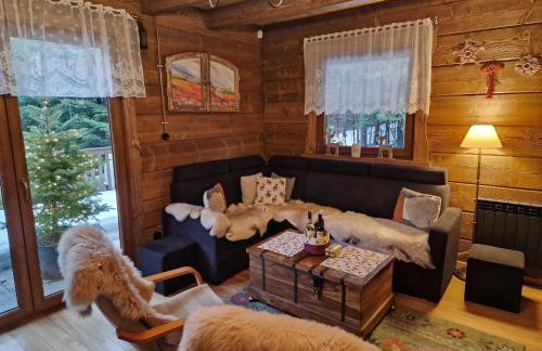 Domki Brenna Leśnica chatka ze spa - Foto 15