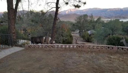 3BR Panoramic Lake View, Sequoia Forest, Kern County - Foto 3