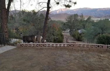 3BR Panoramic Lake View, Sequoia Forest, Kern County - Foto 3