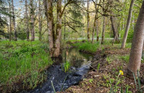 Swallows Nest - Foto 44