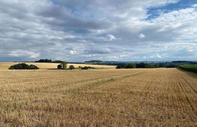 Holiday Home in Germany With Garden Terrace - Photo 23