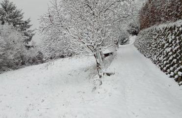 GrigioPerla - Foto 41