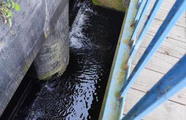 Modrzewiowy Zakątek z balią - Foto 22