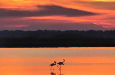 Sunny Apartman Italy - Photo 11