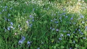 Gîte La Petite Roche - Photo 4