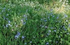 Gîte La Petite Roche - Foto 4