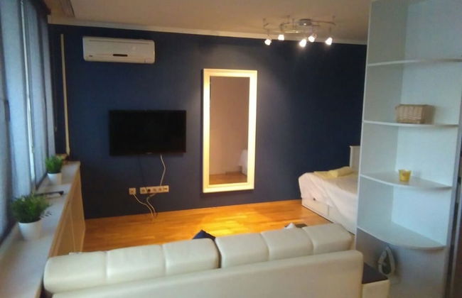 Lakshmi Dinamo Studio View - Foto 8