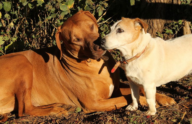 Ardmore Guest Farm - Photo 39