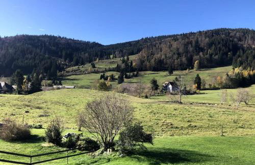 Schwarzwald Loft Menzenschwand - Foto 18