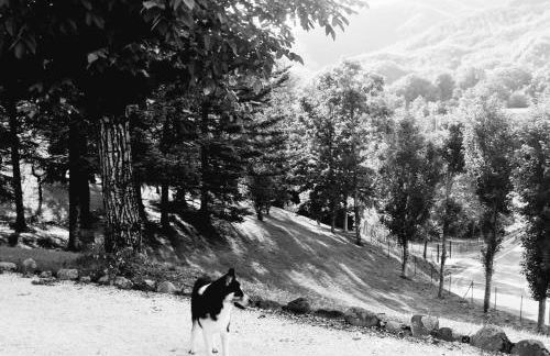 La Cappuccina - Foto 10