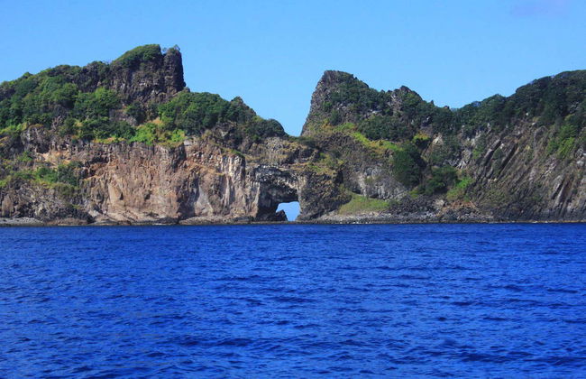 Balade en bateau + Snorkeling à la Plage Sancho - Photo 2