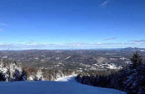 Luxury Modern Cabin near Skiing - Foto 5