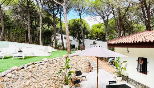 Luxury private Villa 25m Pool, Gym, 200m to Beach - Foto 5, Garden, Garden view