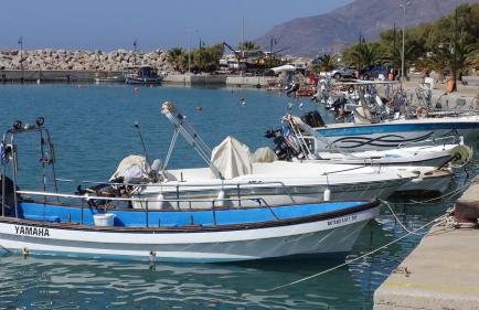 Coral Sea Apartment - Foto 34