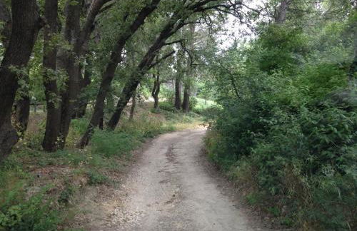 Jardin dans les Pins - Foto 12