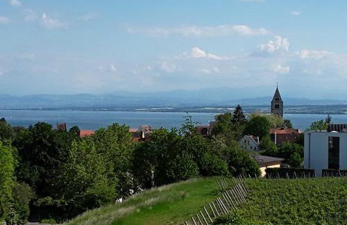 Ferienwohnung Bodensee Fisch - Foto 23