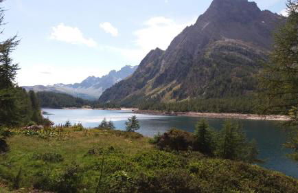 Il Giardino Segreto - Foto 35