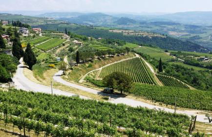 Cris Apartments - Foto 22