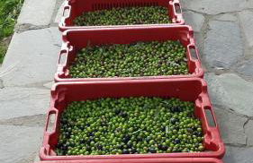 Sostio a Levante Guest House - Foto 82