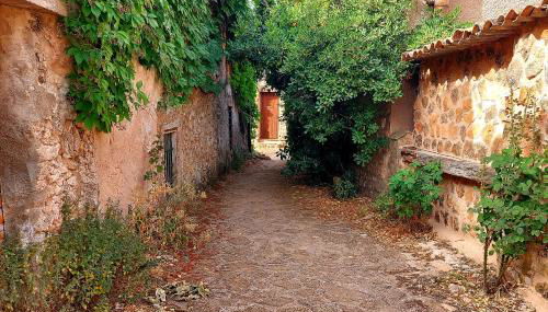 Casa del Águila del Valle - Foto 2, Garden