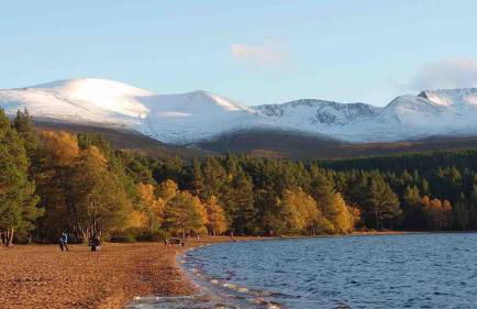 Luxury Apartment Alford Aberdeenshire - Foto 32