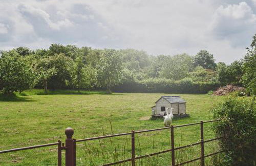 Apple Tree Cottage - Foto 7