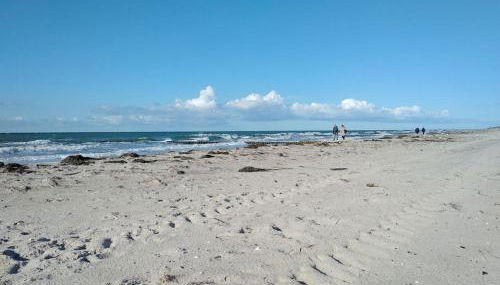 Strandhaus in der Düne - Foto 4