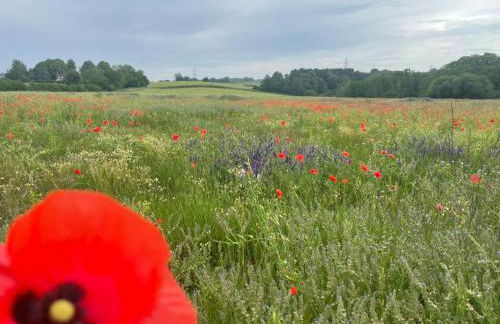 Crispins Corner - Foto 27