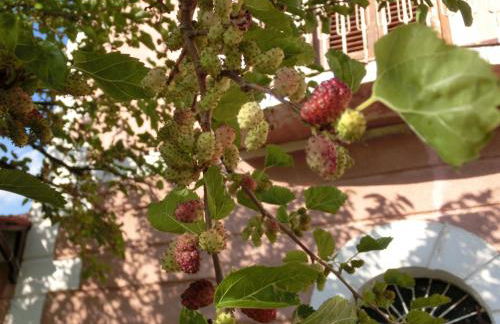 Agriturismo Cuca - Foto 46