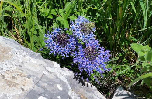 Finca Las Morenas - Foto 43