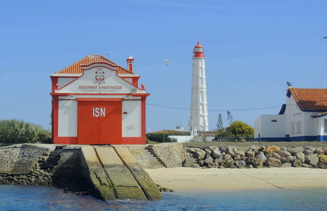 Visite des îles de la Ria Formosa - Photo 5