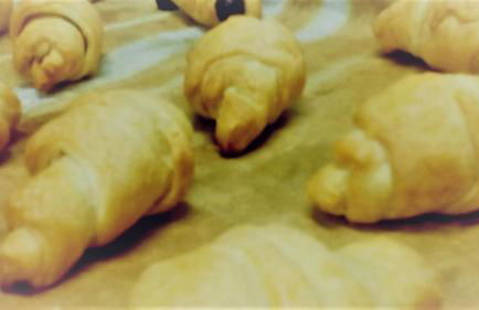 Sant'Andrea Agriturismo con cantina Martignago Vignaioli Asolo Prosecco Docg Wines - Foto 57