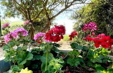 Robinson house Leticia - Foto 22