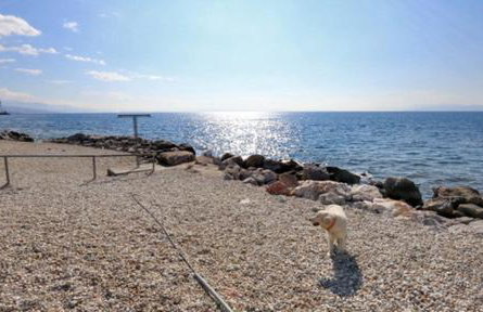 Apartments Trampi - Foto 55