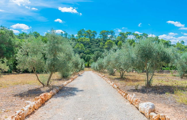 Can Pina - Eco Cascada - - Photo 30