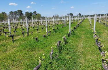 Gîte des Graves de Lilou - Foto 75