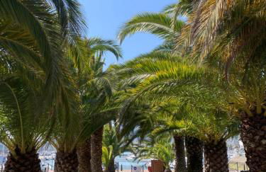 LES HAUTS DE BIANTENIA AVEC WIFi - Foto 36