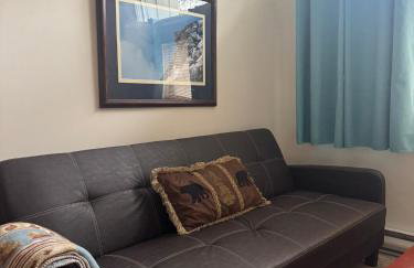 Pet Friendly Condo near Loon with AC and Passes to Loon Club pool - Foto 8