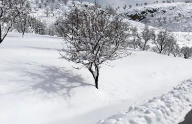 Molino Felix Alojamiento Rurales - Foto 55