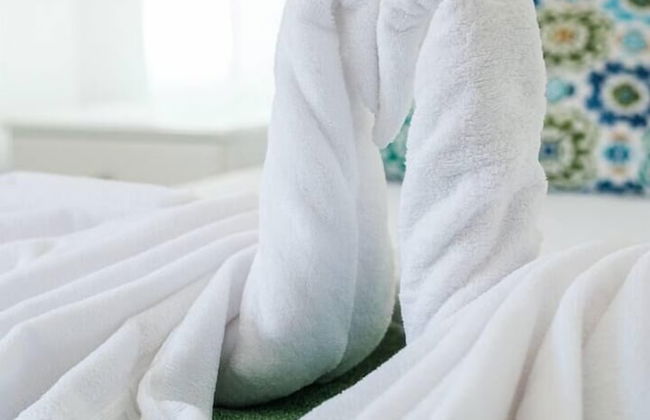 Alterhome Fuerteventura - Foto 5