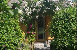 Tara vegetarian retreat guesthouse - Foto 9