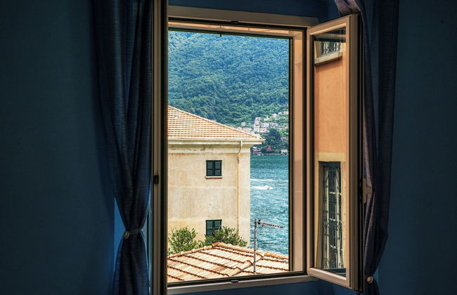 Lemon Tree - Photo 8