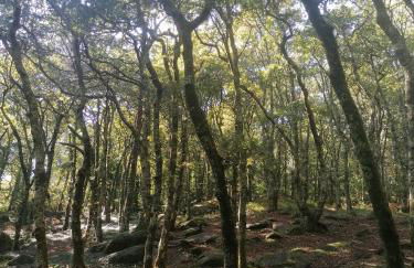 La casita de Meiro - Foto 10